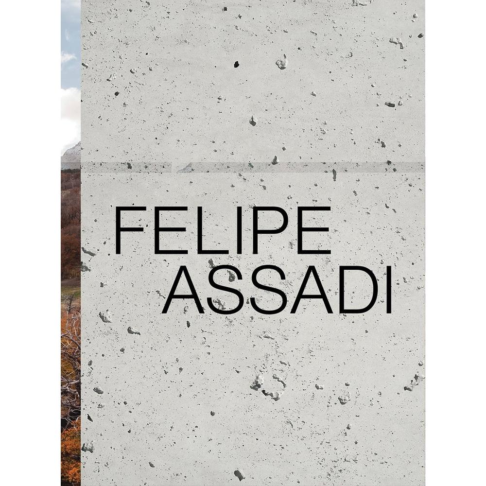 Felipe Assadi Arquine Libro x 1.0 FELIPE ASSADI  En décadas recientes la arquitectura en Chile ha despertado gran interés, pues coincide con el desarrollo de su economía y con la difusión de sus extraordinarios paisajes. Entre los arq