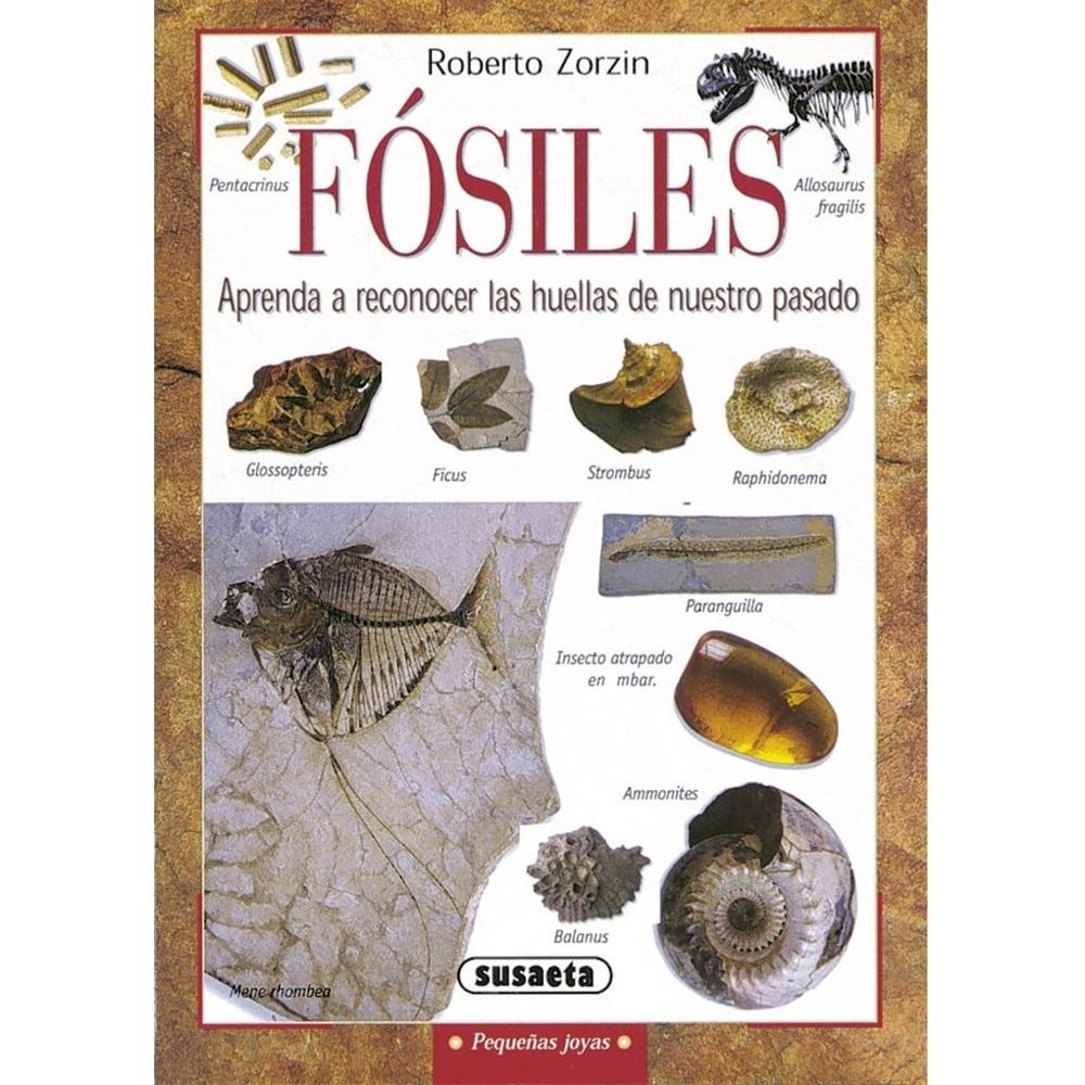 Fósiles. Pequeñas Joyas Susaeta Ediciones Libro x 1.0 Fósiles. Pequeñas Joyas Susaeta Ediciones Libro x 1.0