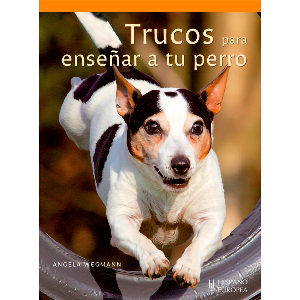 Trucos Para Enseñar A Tu Perro Hispano Europea Libro x 1.0 TRUCOS PARA ENSEÑAR A TU PERRO La mayoría de los perros disfrutan aprendiendo durante toda su vida. Los animales no piensan con palabras sino en imágenes. Por lo tanto el perro solamente comprenderá