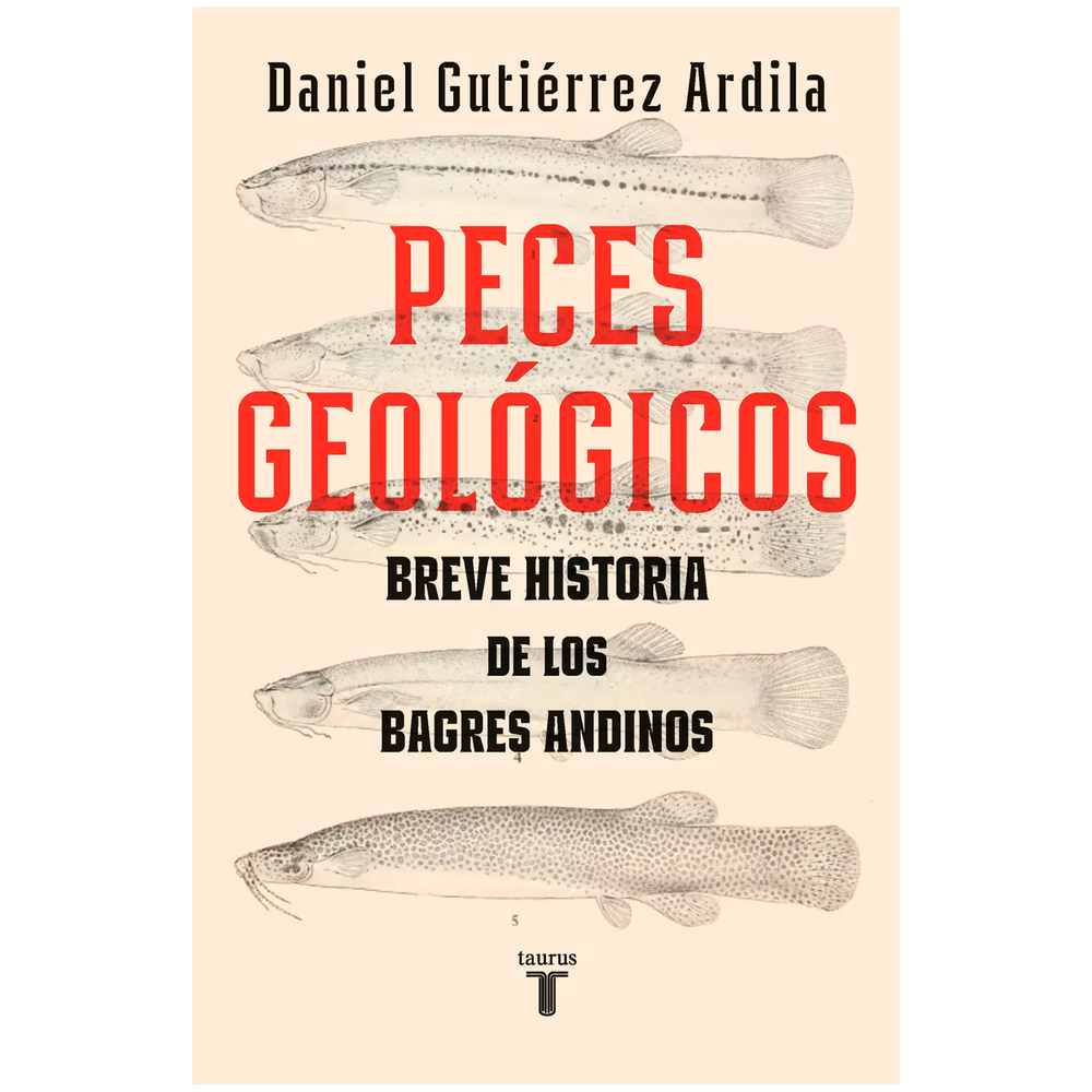 Peces Geológicos. Daniel Gutiérrez Ardila Taurus Libro x 1.0 PECES GEOLOGICOS  ¿Cómo llegaron los bagres hasta las cumbres de la gran cordillera suramericana?  Este enigma ha preocupado desde finales del siglo XVIII a sucesivas generaciones de naturalistas -com
