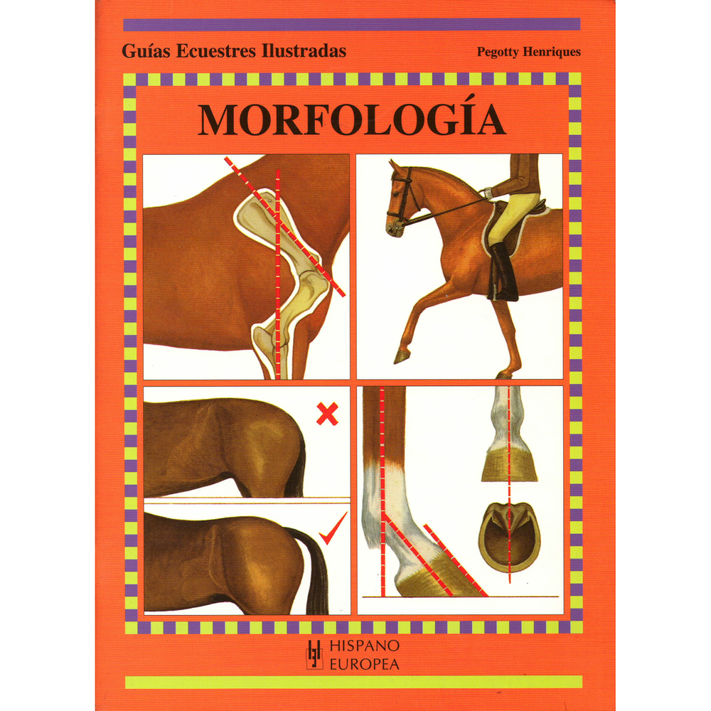 Guías Ecuestres. Morfología Hispano Europea Libro x 1.0 GUIAS ECUESTRES:MORFOLOGIA Morfología (guías Ecuestres Ilust.) Pegotty Henriques Una guía paso a paso sobre los principios elementales y las implicaciones prácticas de la morfología. Ficha técnica