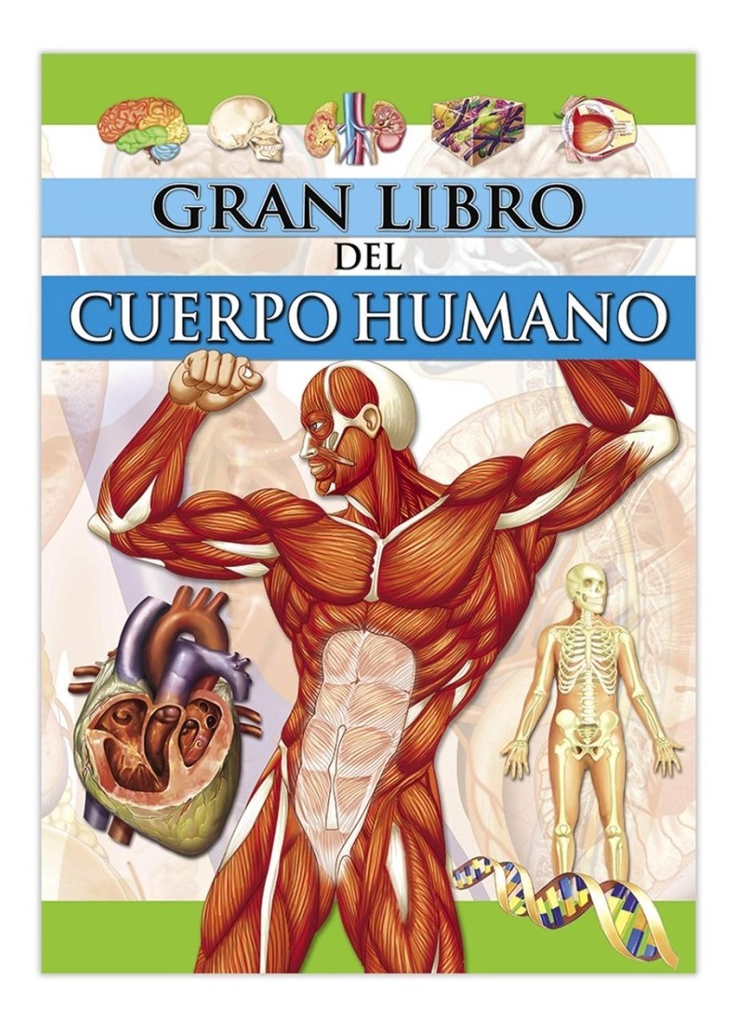 El Gran Libro Del Cuerpo Humano Ediciones Saldana Libro x 1 