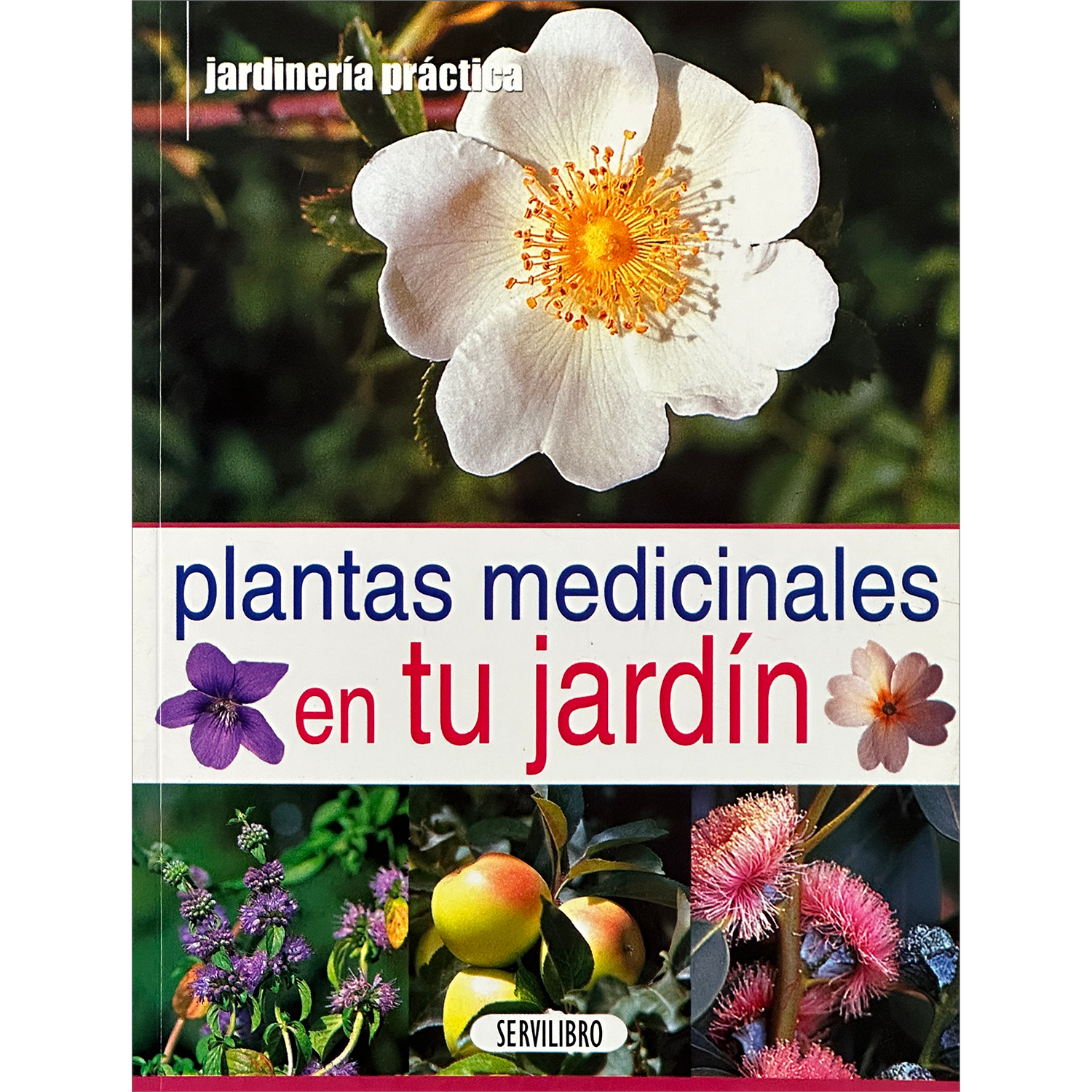 Plantas Medicinales En Tu Jardín. Jardinería Practica Susaeta Libro x 1 PLANTAS MEDICINALES EN TU JARDIN(JARDINER.PRACTIC)żQue´ sintieron los grandes cienti´ficos de la historia en el momento en que alcanzaron sus grandes descubrimientos? żCo´mo llegaron al instante ma´gi