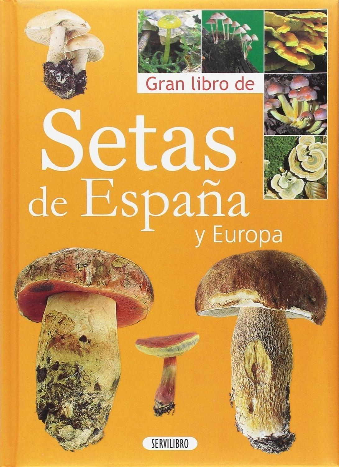 Gran Libro De Las Setas De España Y Europa Servilibro Libro x 1 GRAN LIBRO DE LAS SETAS DE ESPAÑA Y EUROPADescubra todas las claves que le permitirán, durante sus paseos por el campo, distinguir y reconocer las especies entre la apasionante variedad de setas que p