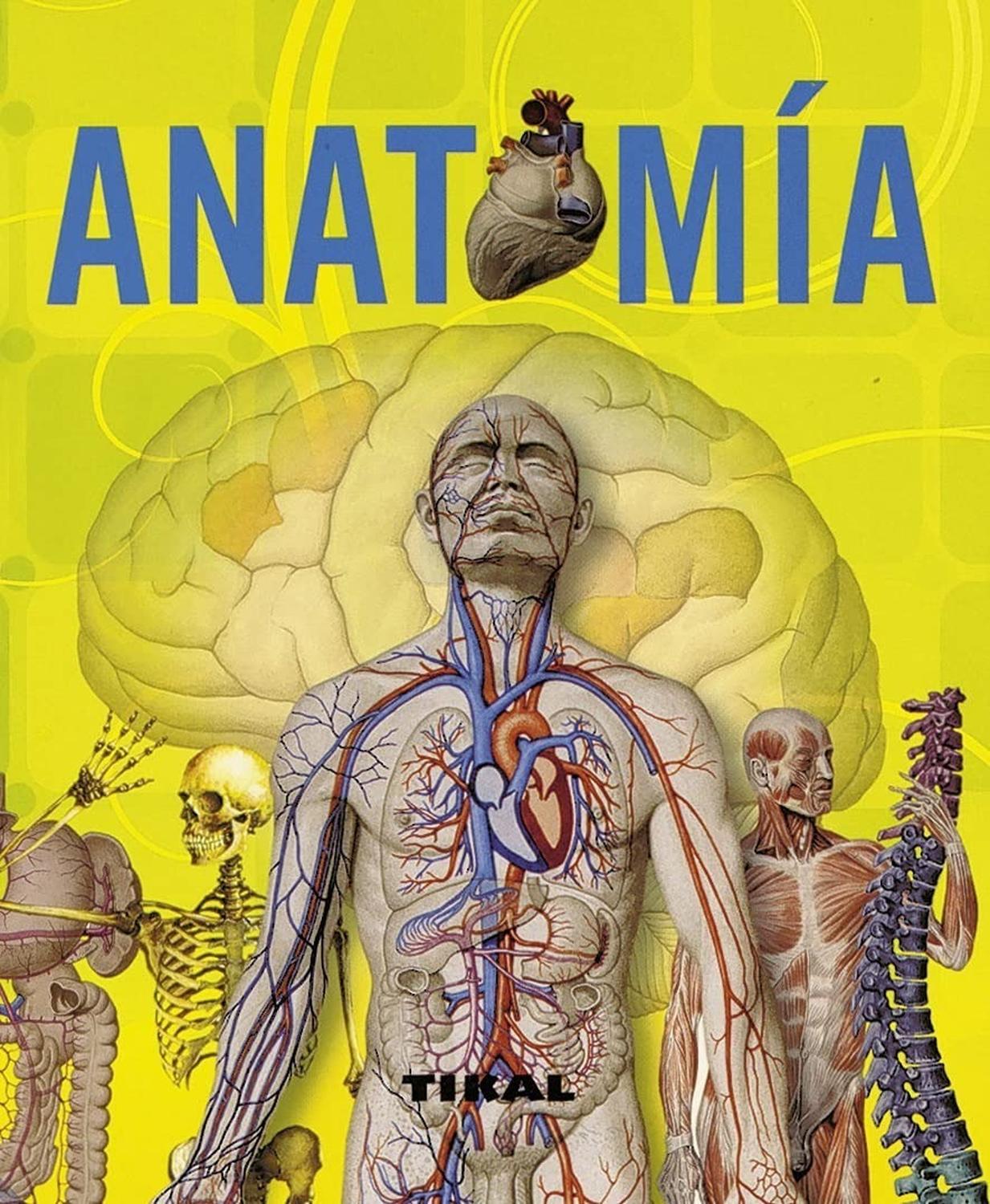 Anatomía. Enciclopedia Universal Ediciones Tikal Libro x 1 ANATOMIA (ENCICLOPEDIA UNIVERSAL)Un fascinante viaje al mundo desconocido y sorprendente del cuerpo humano, a través de páginas repletas de información sobre la estructura y función de los diversos ór
