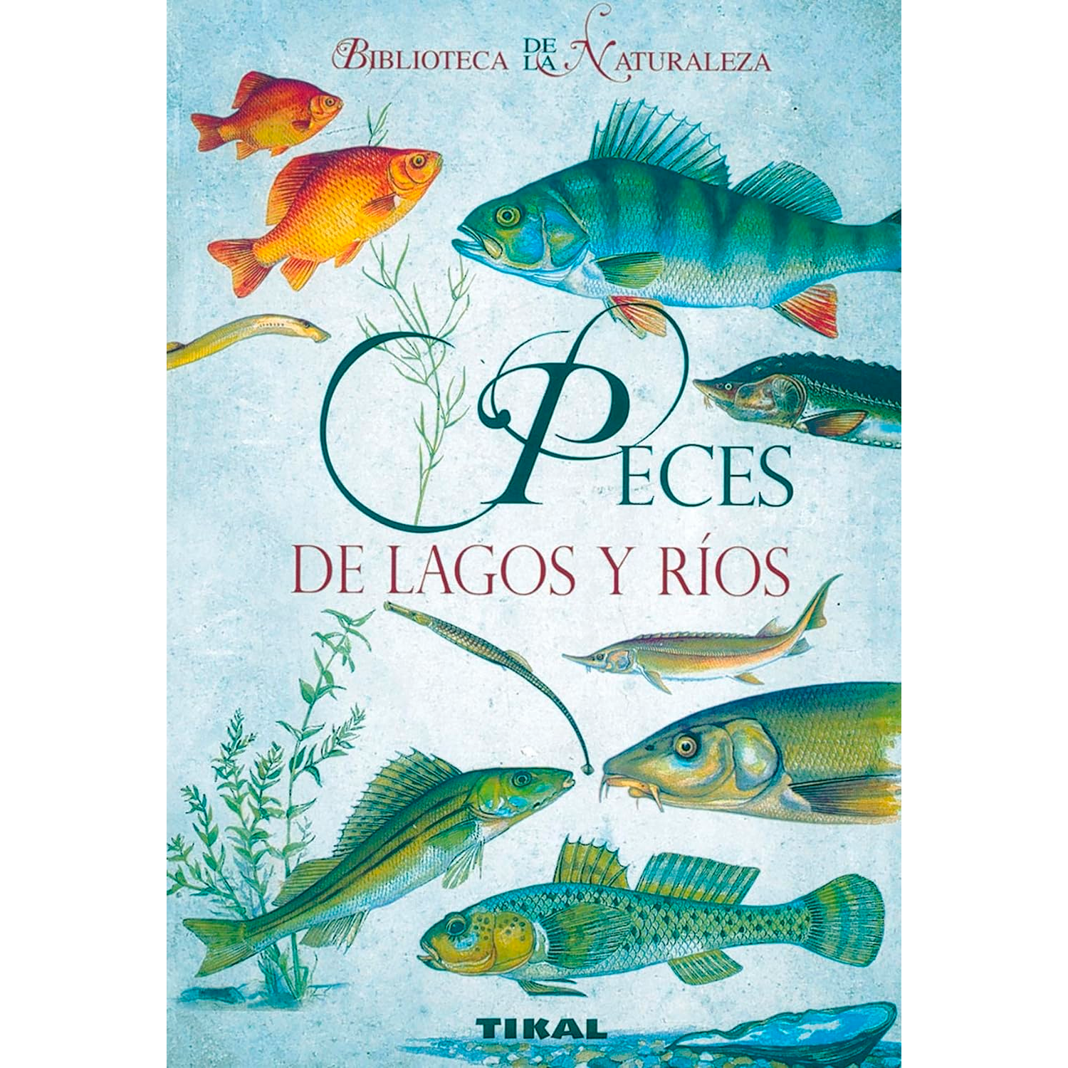 Peces De Lagos Y Ríos Susaeta Libro x 1 PECES DE LAGOS Y RIOS (BTCA.NATURALEZA)Nş de páginas: 224Editorial: TIKALIdioma: CASTELLANOEncuadernación: Tapa blandaISBN: 9788492678044Año de edición: 2009Plaza de edición: ESFecha de lanzamiento: 0