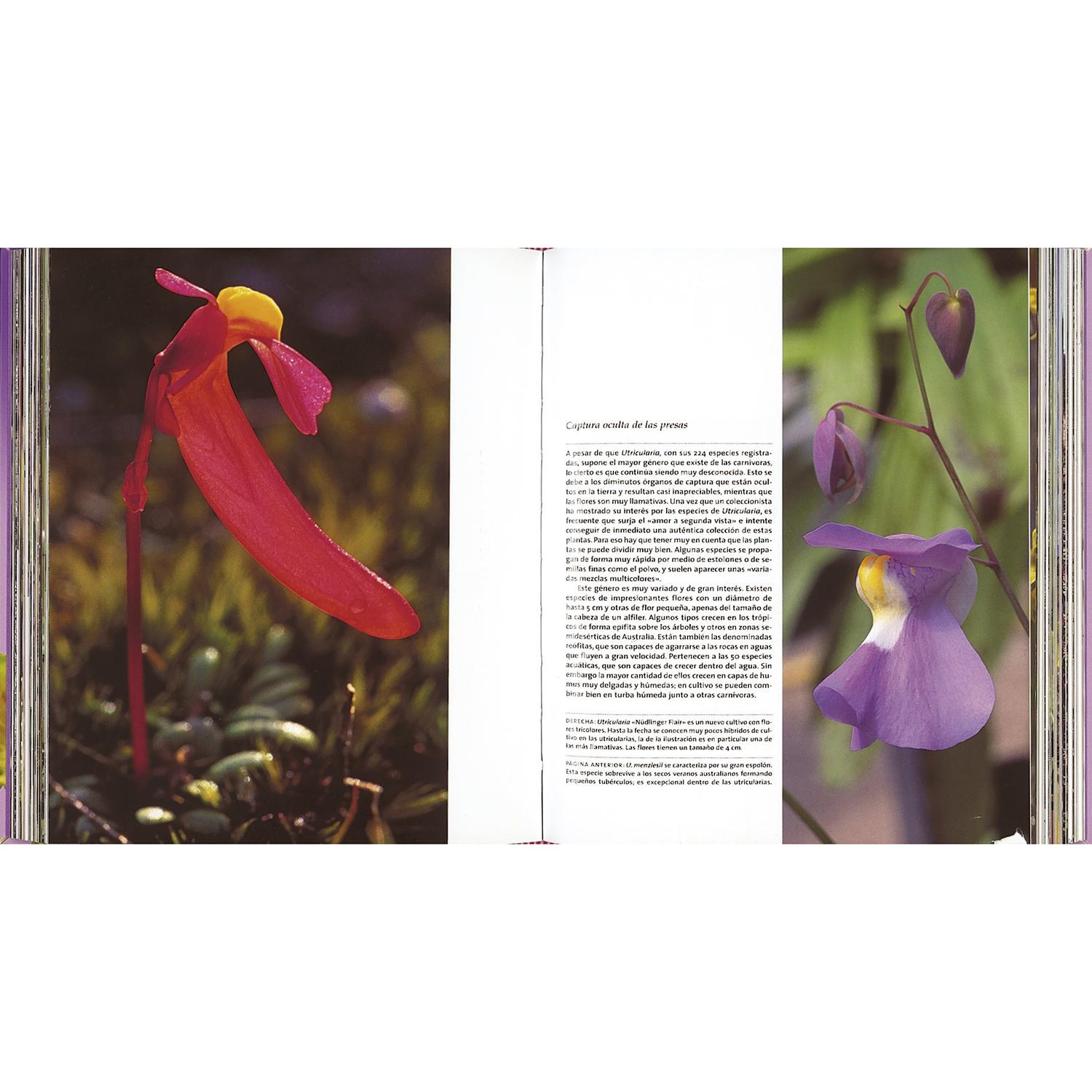 Plantas Carnívoras. Enciclopedia De Jardinería Susaeta Libro x 1 