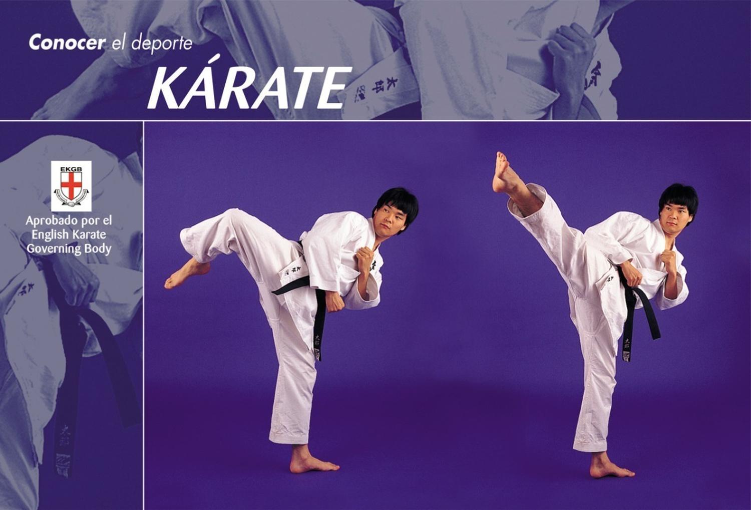 Conocer El Deporte. Kárate Ediciones Tutor,S.A. Libro x 1  