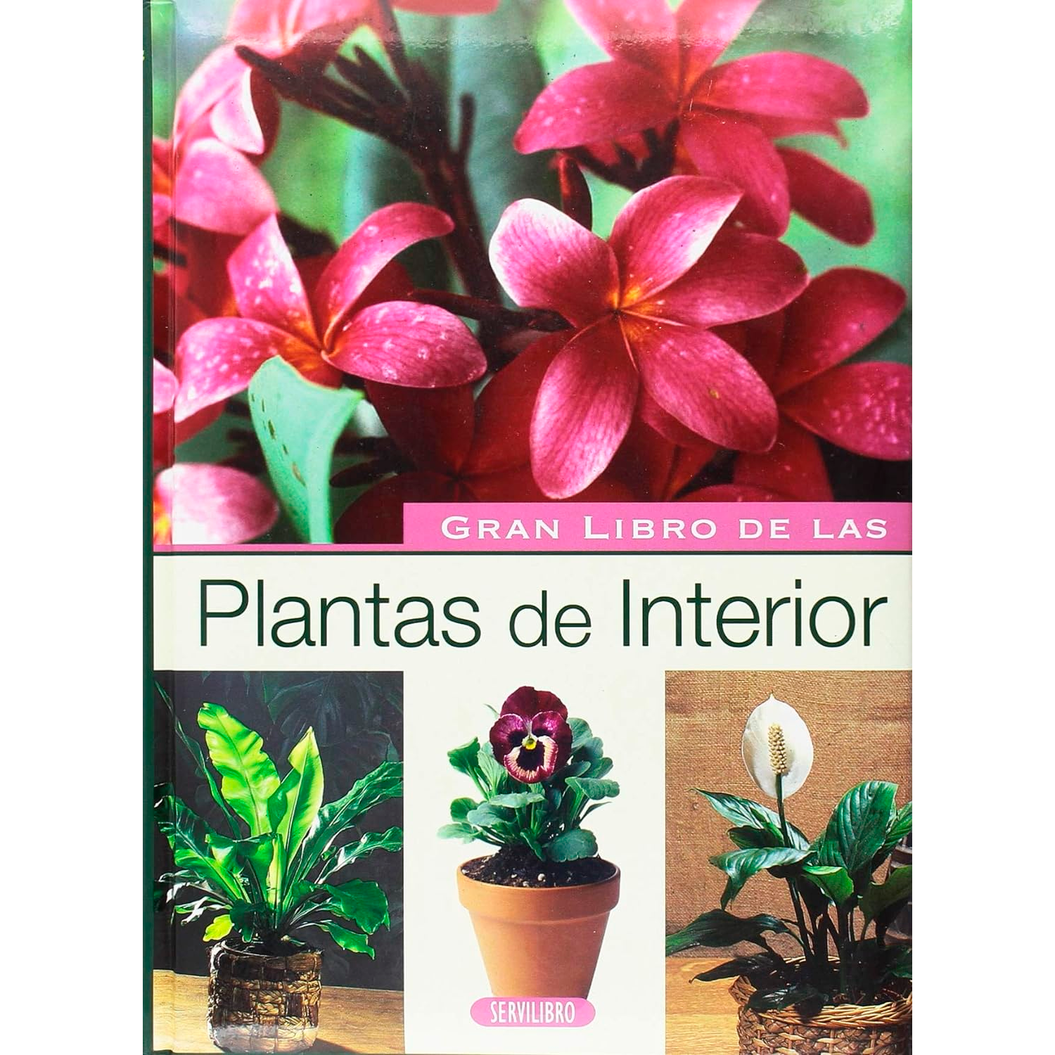 Gran Libro De Las Plantas De Interior Susaeta Libro x 1 GRAN LIBRO DE LAS PLANTAS DE INTERIORUna guía completa para disfrutar en casa de las plantas más frondosas y sanas, con una detallada descripción de más de 120 plantas adecuadas para el cultivo en int