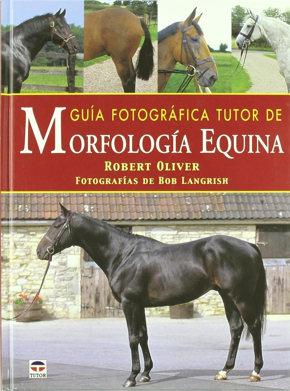 Guía Fotográfica Tutor De Morfología Equina Ediciones Tutor,S.A. Libro x 1 GUIA FOTOGRAFICA TUTOR MORFOLOGIA EQUINAMás de 300 fotografías con buenos y malos ejemplos de la morfología equina. Incluye una selección de razas y tipos; sus características distintivas; los requisi